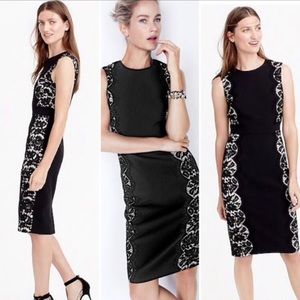 J Crew Retail Lace Panel Sheath Dress